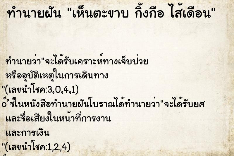 ทำนายฝันเห็นตะขาบกิ้งกือไส้เดือน ทำนายฝันทำนายฝันเห็นตะขาบกิ้งกือไส้เดือน